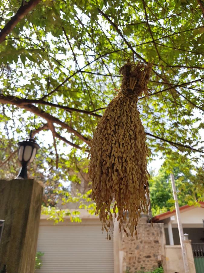 Nimal'S Home أنرادابورام المظهر الخارجي الصورة