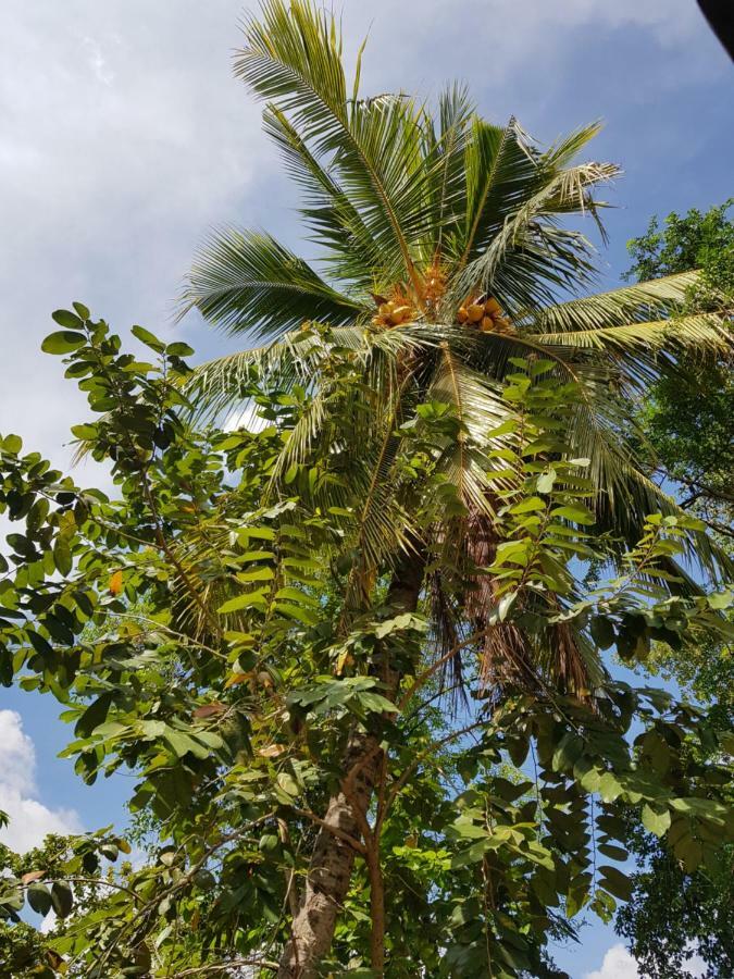 Nimal'S Home أنرادابورام المظهر الخارجي الصورة